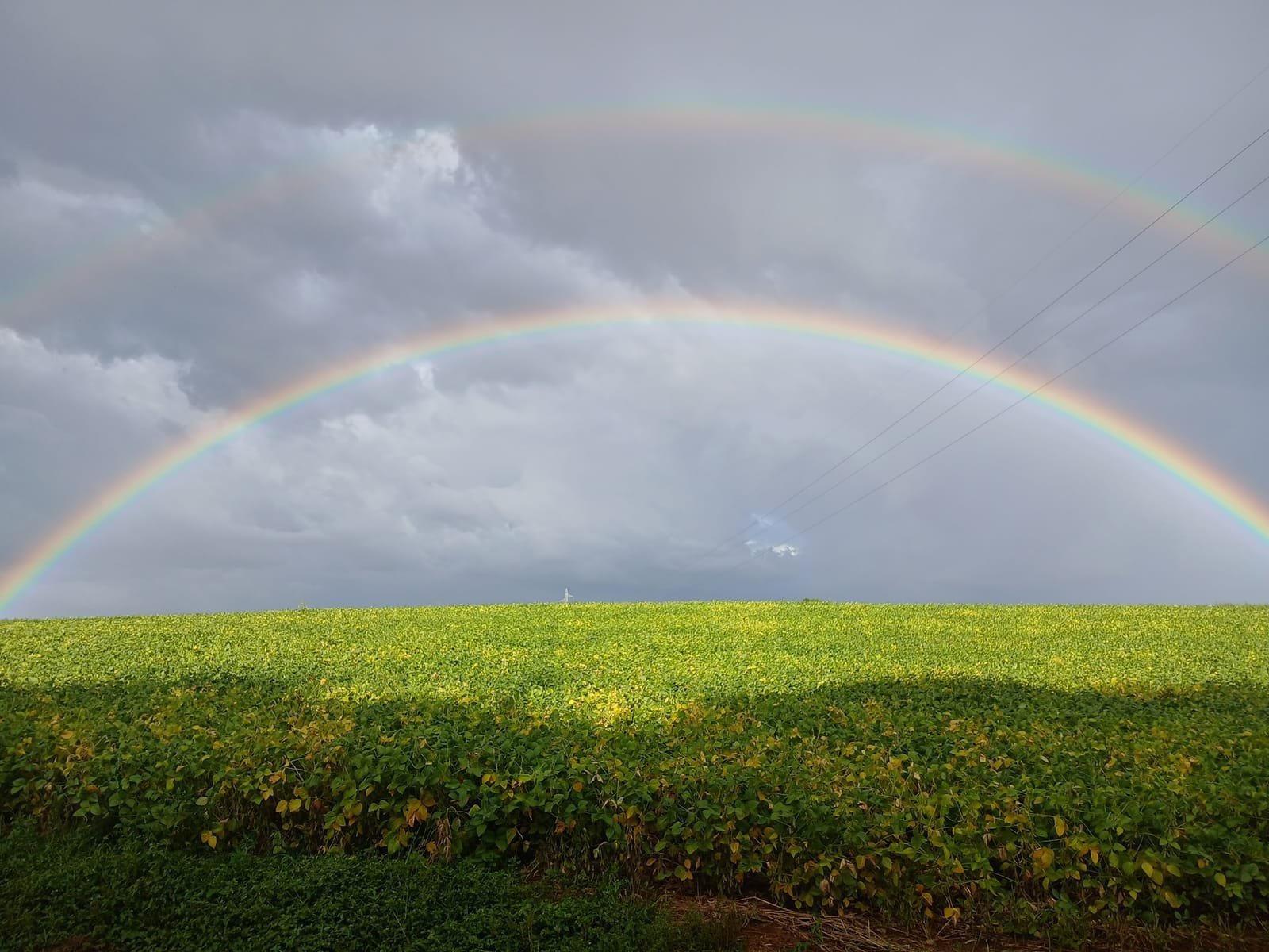 Arco-íris duplo sobre a lavoura verde, num céu nublado