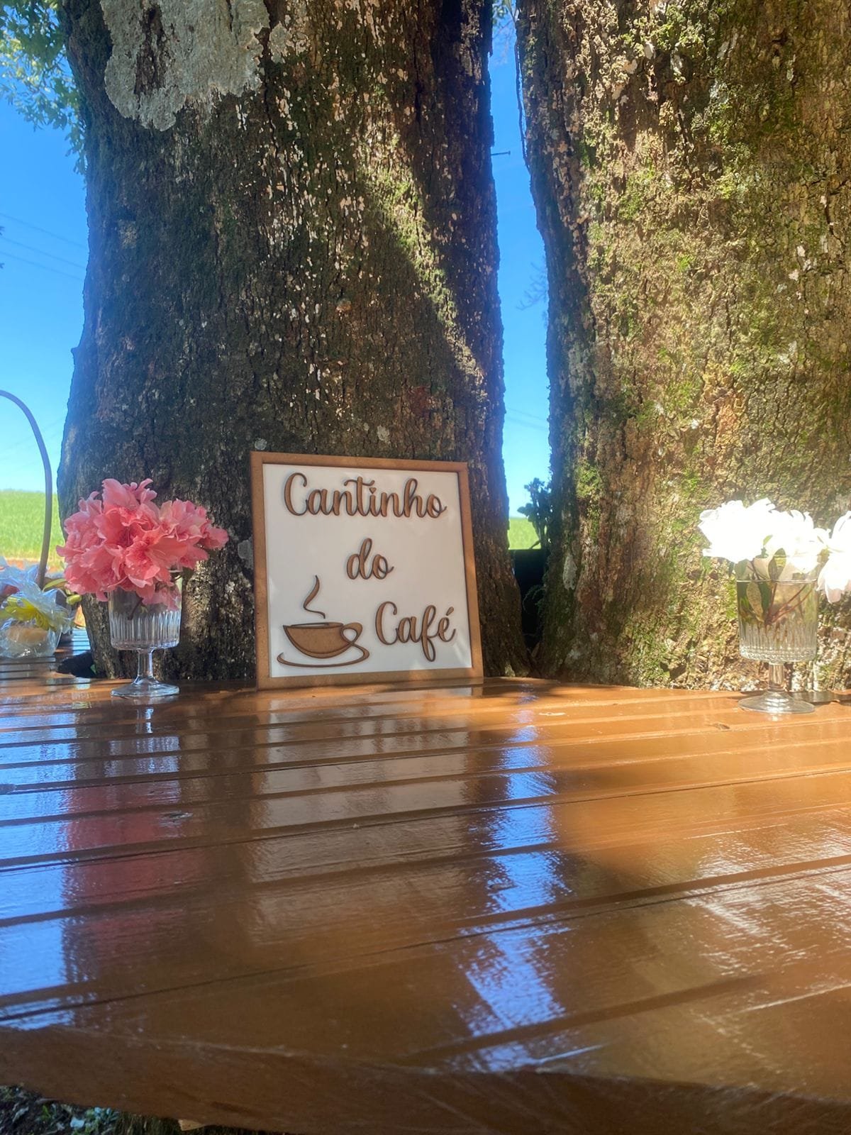Placa Cantinho do Café e vasos de flores sobre uma mesa de madeira, ao pé da árvore