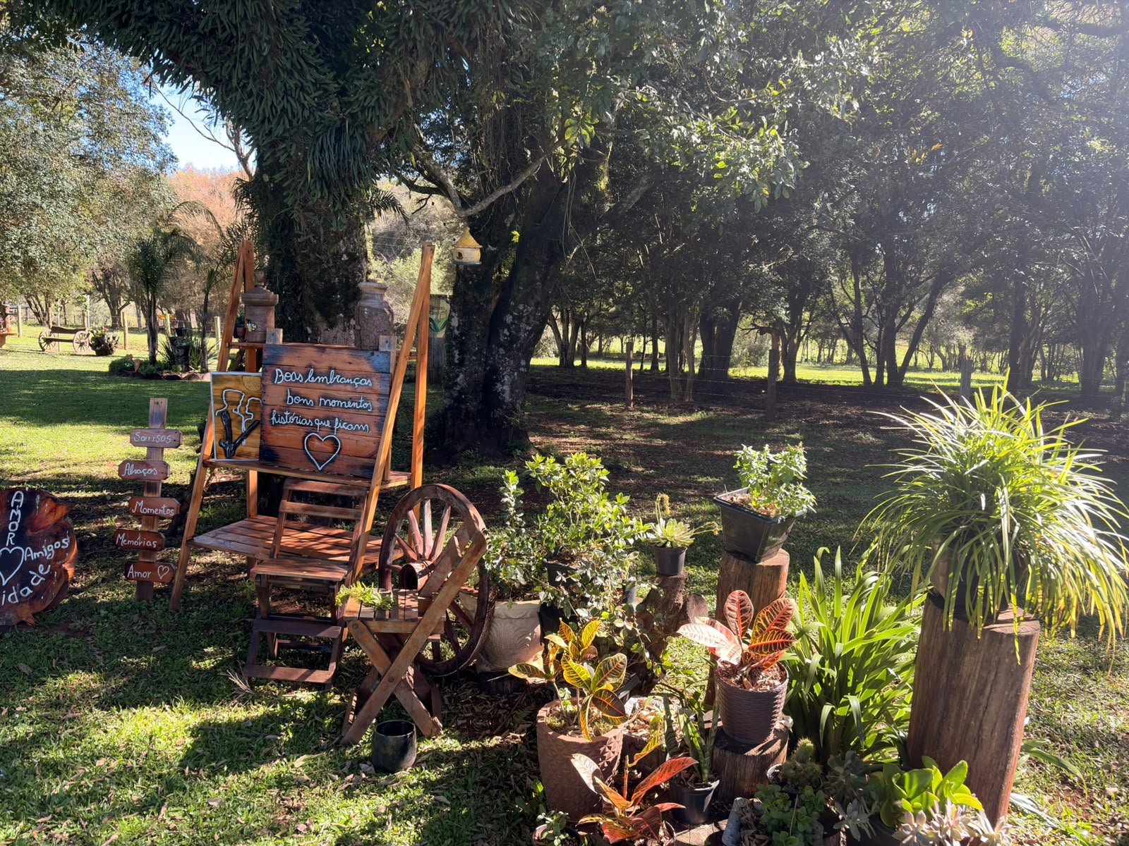 Recanto do jardim sob as árvores, com vasos de plantas, cadeiras de madeira e placas pintadas